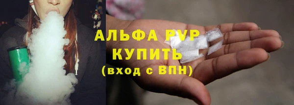 индика Новозыбков