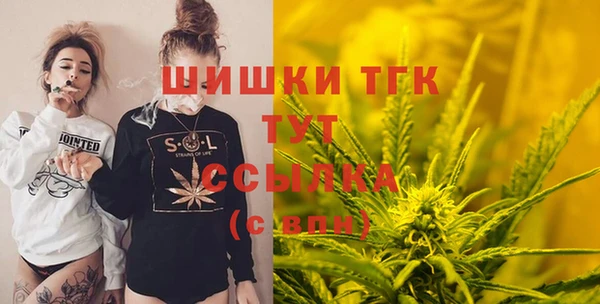 индика Новозыбков